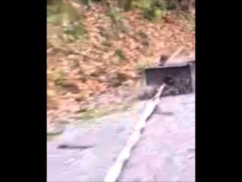 Fail Harlem Shake Holzofen Funny lustig