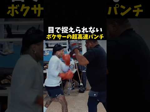 目で捉えられないボクサーの超高速パンチ #ボクシング #格闘技 #boxing