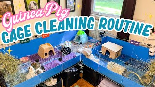 Guinea Pig Cage Cleaning Routine || Step By Step