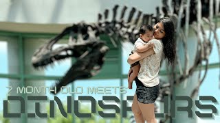 7 MONTH OLD MEETS DINOS FOR THE FIRST TIME  | North Carolina Pt. 4