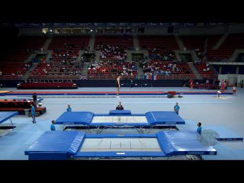 SCHMIDT Dylan (NZL) - 2017 Trampoline Worlds, Sofia (BUL) - Qualification Trampoline Routine 1