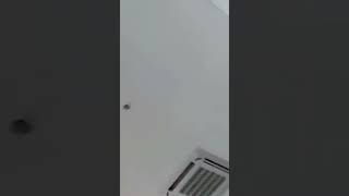 terbaru Ratu Pargoy,