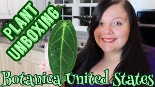 Rare Plant Unboxing | Botanica United States