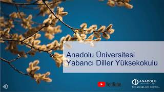 Anadolu Üniversitesi Yabancı Diller Yüksekokulu Seviye Tespit Sınavı