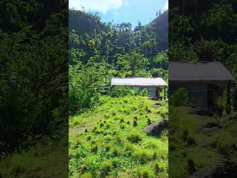 Busca a king Mayun Presentando Baracoa Guantánamo Cuba 🇨🇺