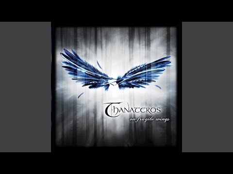 Black Forest Calling