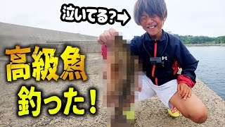 【穴釣り】小学生が泣くほど嬉しい高級魚が釣れた！！