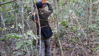 Download lagu Qaib Qus Qua Coob Dhau Lawm Xiam Hlwb Tag Li Lawm Os Tag Kis No Nas 24/12/2026. mp3 Download lagu Qaib Qus Qua Coob Dhau Lawm Xiam Hlwb Tag Li Lawm Os Tag Kis No Nas 24/12/2026. mp3