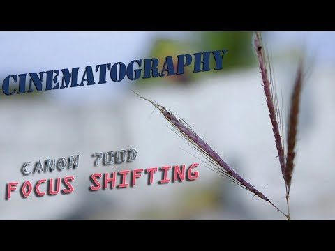 Cinematography || Akhil Jason