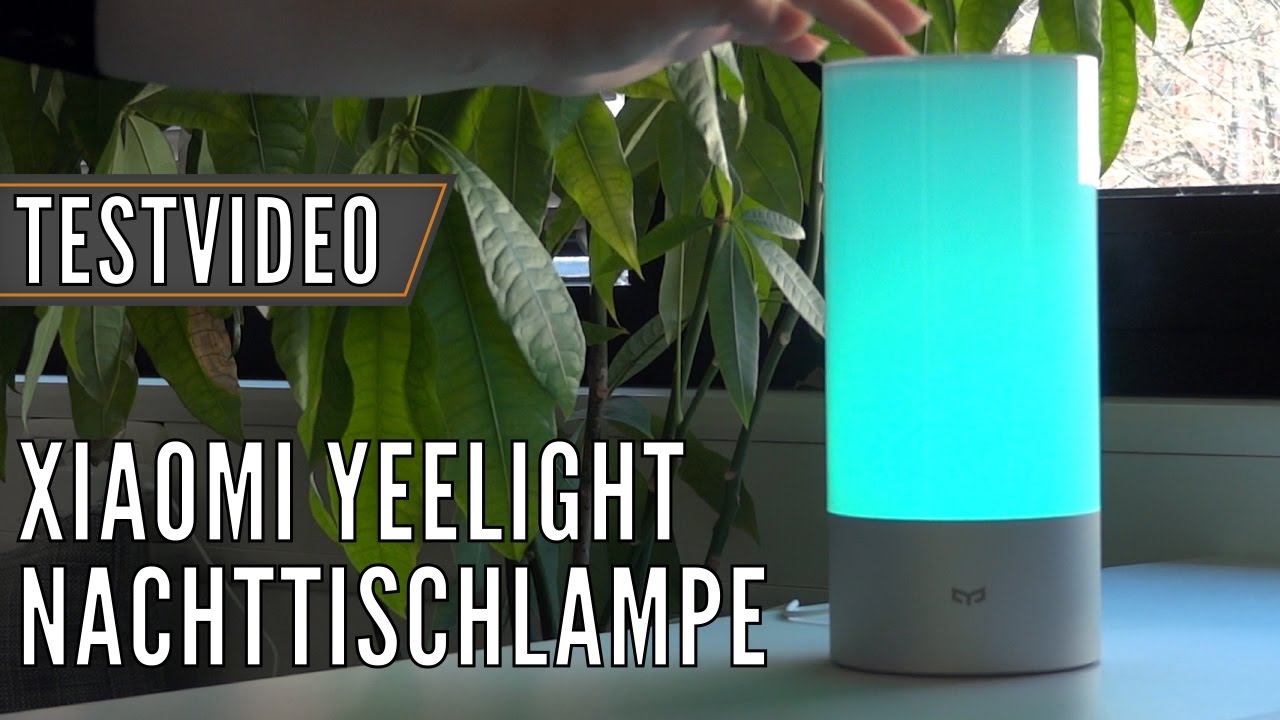 Youtube Video Preview