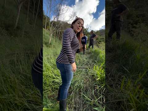 🔥 Impactante Incendio Bajo Tierra en Táchira