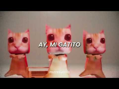 ay, mi gatito miau miau tiktok (Letra) | MONTAGEM MIAU | Granny Cat