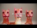 Ay Mi Gatito Miau Miau Tiktok Letra MONTAGEM MIAU Granny Cat