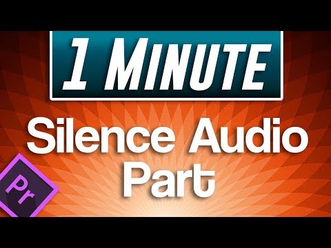Premiere Pro Podcast Voice Tutorial