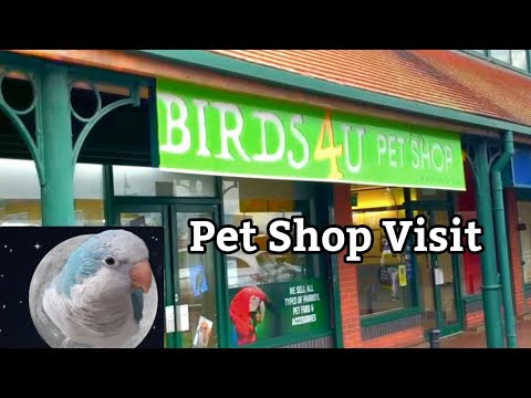 Parrot Pet Shop | Pet Shop Visit | Pet Store | Birds4U