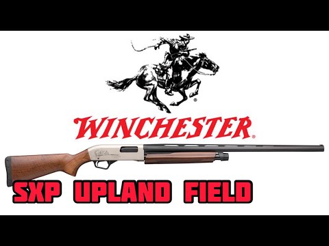 Winchester SXP Review