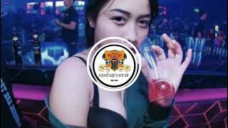Download lagu [SNR]™ DJ - RINDIANI SLAM BAND FUNKOT REMIX _ FULL VERSION mp3