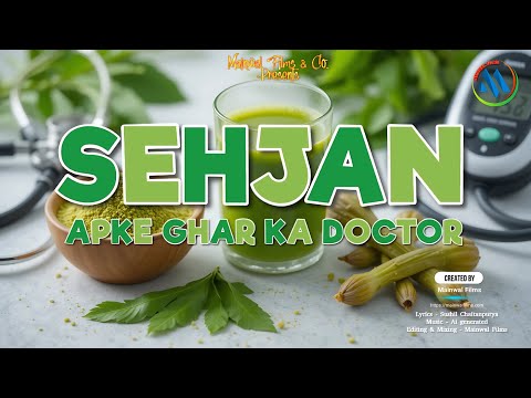 Mainwal Films portfolio video3