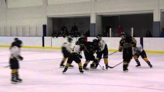 preview picture of video 'Southtown Stars vs Webster 3rd Period 9 13 14'