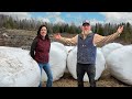THIS Was a HISTORIC Day!!! Building Our OFF GRID Farm in the WOODS