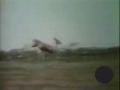 Sesame Street It S A Gazelle