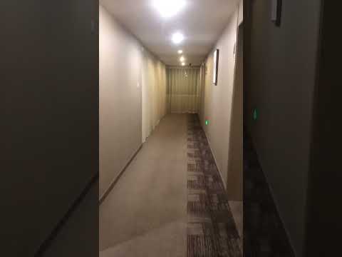 这是什么声音？快来听听，我是这方面的行家，不信，你看我资料
