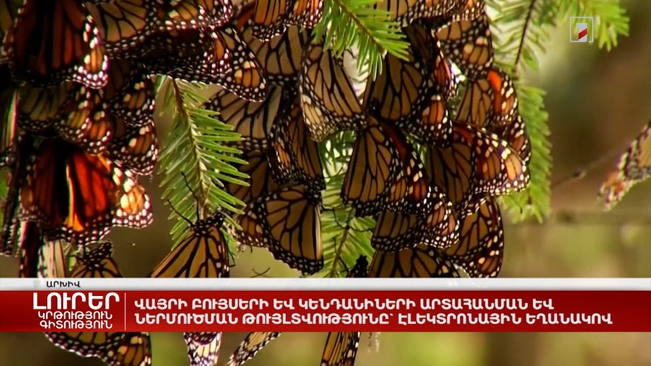 Վայրի բույսերի և կենդանիների արտահանման և ներմուծման թույլտվությունը` միայն էլեկտրոնային եղանակով