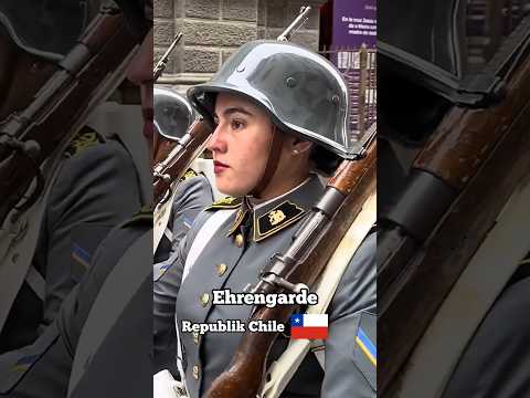 Chile vs. Deutschland - die Ehrengarde 🦅🇩🇪#wachbataillon #bundeswehr #militär #tradition #garde