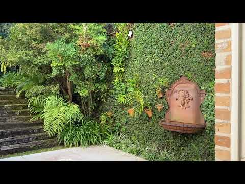 Fazenda Morumbi / São Paulo