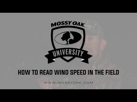 How To Read Wind Speed For Long Range Shooting