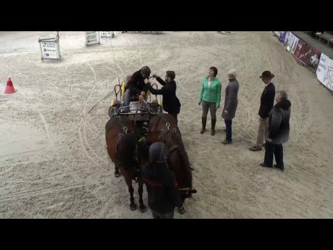 Jezdecký festival 2018 - Soutěž č. 33: soutěž dvojspřeží pony