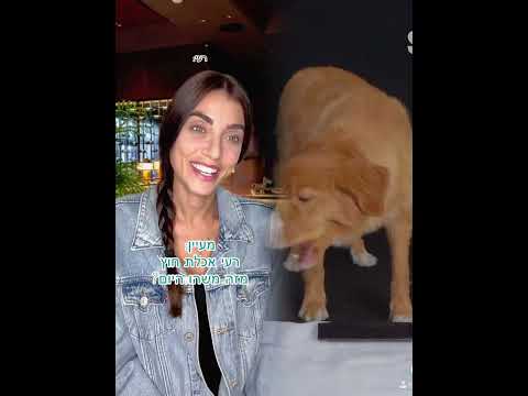 רעי יוצאת לדייט עם הבחור שהכירה באחריי, אבל יש מי שמפריעה לה וכמעט הורסת לה את הדייט...- פוב