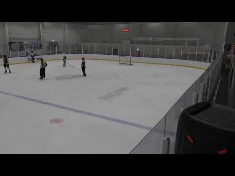 Sportországi Cápák Utánpótlás Jégkorong