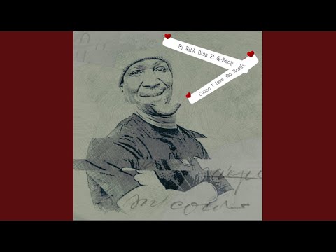 Dj Bra Stan Cause I Love You remix) (feat. Q-Deep) (Radio Edit)