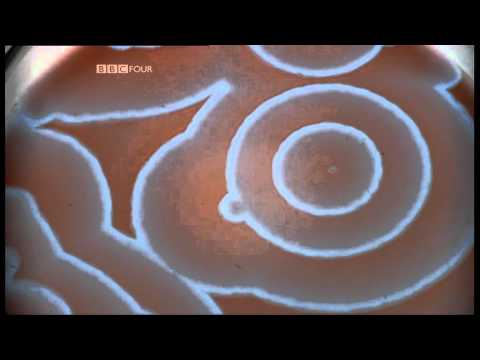 Belousov Zhabotinsky reaction.flv