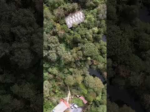La montaña mágica que nació en Boyacá: de tierra muerta a paraíso verde - Los Informantes