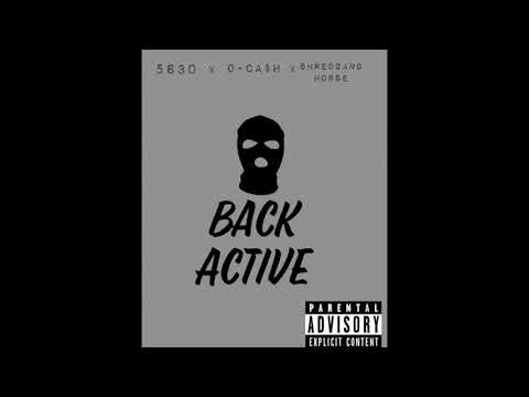 5630 x D- Cash x  Shred Gang Horse -Back Active
