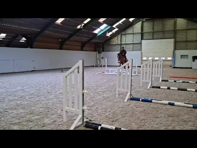 Riding and Jumping movie at home Waldik van't Merelsnest.