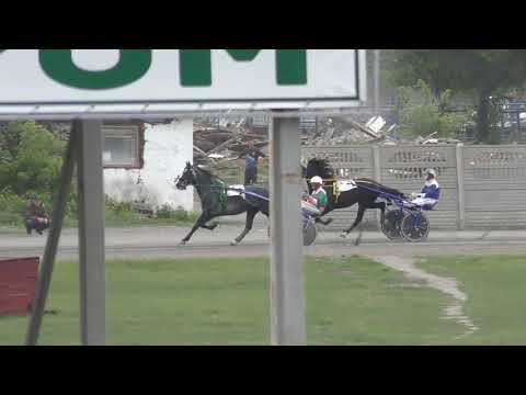 16.05.2020 лошади рысистых пород старшего возраста 1600м