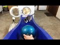 Experiment Cat And Bowling Ball In A Washing Machines