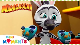 Should I Take Responsibility For My Actions? 😳| Madagascar:A Little Wild | Compilation |Mini Moments