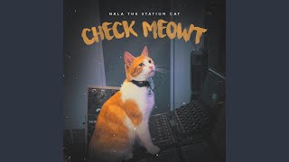 Kadr z teledysku Check Meowt tekst piosenki Nala the Station Cat