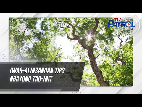 Iwas-alinsangan tips ngayong tag-init