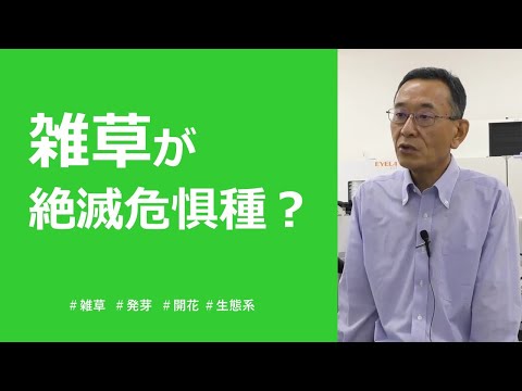 「雑草が絶滅！？有害なだけじゃない、その素顔」