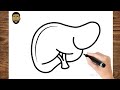 How To Draw A simple Human Liver ( Step by step drawing)