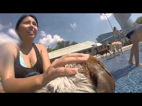 Zeus pool party youtube