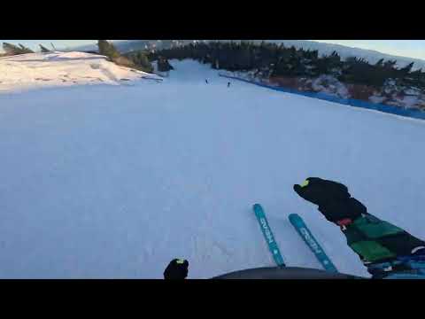 Panoramica & Dosso Larici ski Paganella