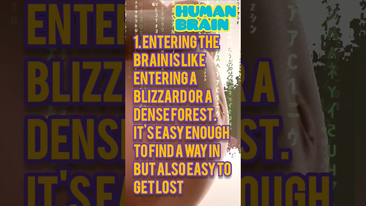 Human Brain#life #health #living #happiness #wellbeing #happy #good_life #brain