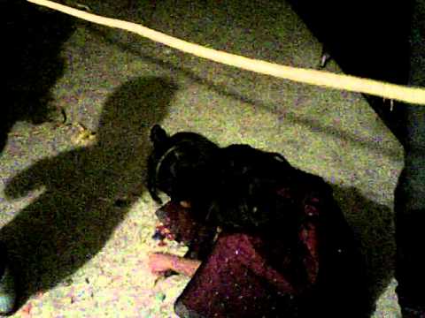 varela en memphis tn 2