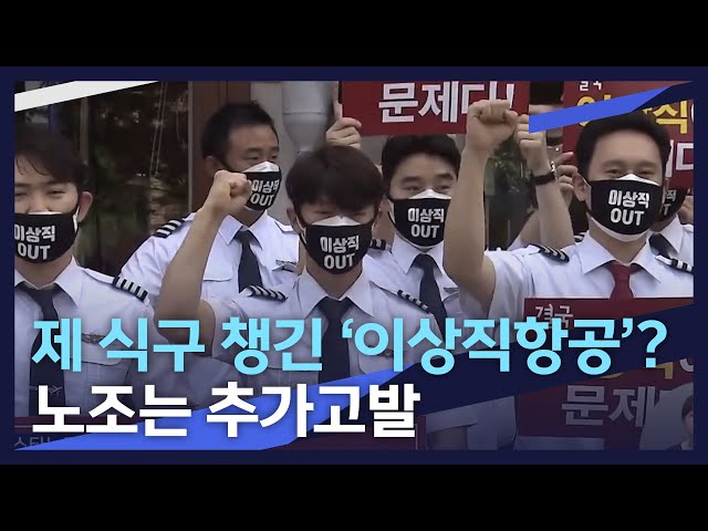이스타항공은 '이상직항공'?.. 